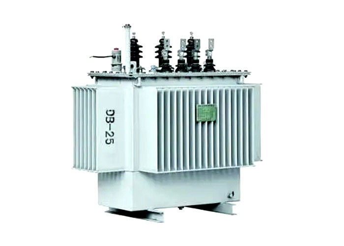 GB1094-1996 Transformator van de de Transformator Elektromacht van de machtsdistributie 30 - 1600kVA-Nominale spanning leverancier